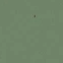 Serge Ferrari Soltis 502 Proof Spring green digital swatch