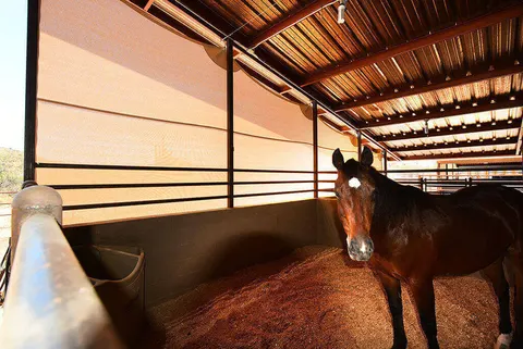View inside a horse stall with shade fabric along its side.
